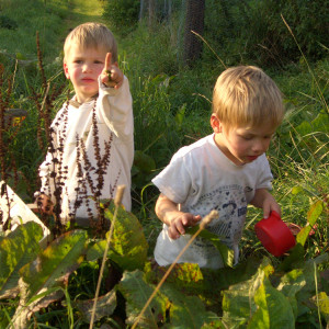 Natur Hof loenne-tiekmann