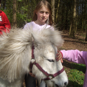 Pony Hof loenne-tiekmann