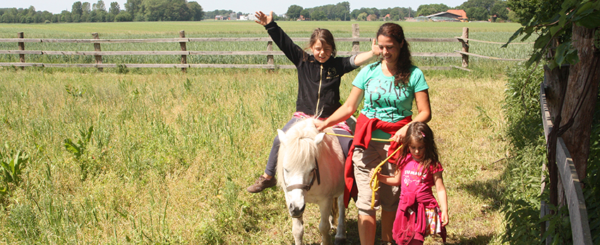 hof loenne- tiekmann bauernhof pony wald wiese