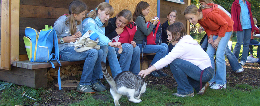 HeaderKindergartenprojekten